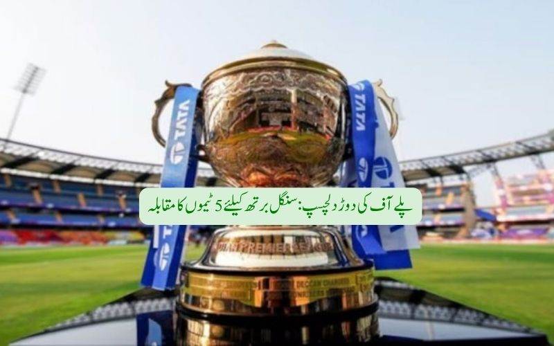 آئی پی ایل2026:پلے آف کی دوڑ دلچسپ، پانچ ٹیموں کا سنگل برتھ کیلئے مقابلہ  